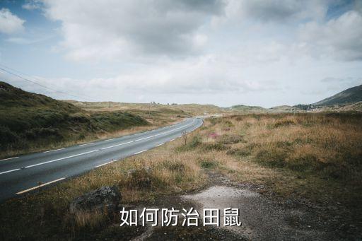 ,播種作物防鼠雀用什么農藥