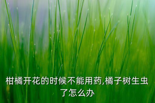 柑橘開花的時候不能用藥,橘子樹生蟲了怎么辦