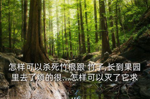 用什么農藥能砍竹子,砍竹子一般有什么忌諱