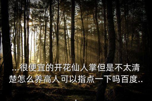 ...很便宜的開花仙人掌但是不太清楚怎么養(yǎng)高人可以指點一下嗎百度...