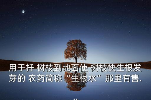 用于扦 樹枝到地面使 樹枝快生根發(fā)芽的 農藥簡稱“生根水”那里有售...