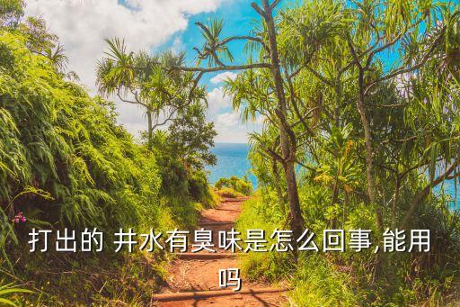 打出的 井水有臭味是怎么回事,能用嗎