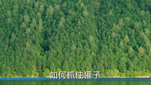 狗獾子怕什么農(nóng)藥,獾子怕什么有氣味的東西