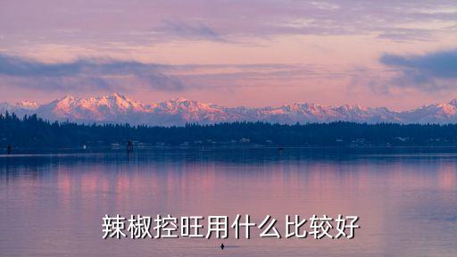辣椒干風用什么農(nóng)藥,辣椒用什么農(nóng)藥比較好