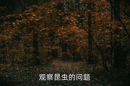 觀察昆蟲的問題