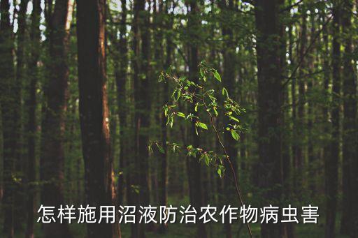 打玉米芯用什么農藥,玉米芯有農藥嗎