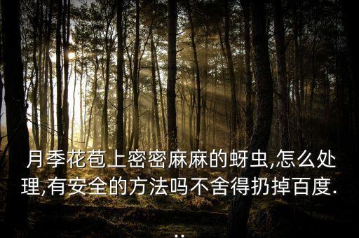 月季起密用什么農藥