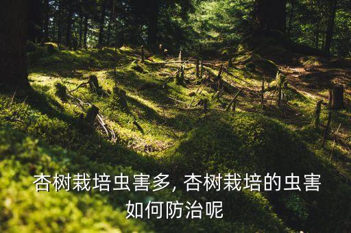  杏樹栽培蟲害多, 杏樹栽培的蟲害如何防治呢