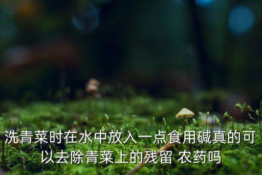 堿水對(duì)農(nóng)藥有什么作用,堿水有什么作用與功效
