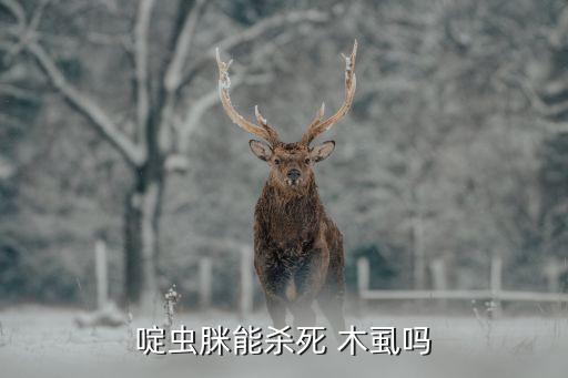 木虱用什么農(nóng)藥治,什么藥能治木虱