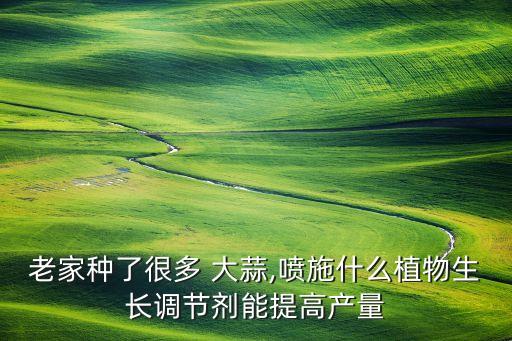 大蒜增產用什么農藥,大蒜打什么農藥抗早衰的