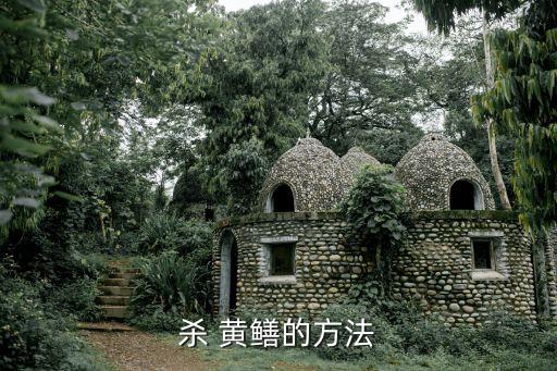 什么農(nóng)藥可以殺黃鱔,黃鱔用什么方法殺最好