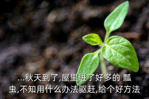 ...秋天到了,屋里進了好多的 瓢蟲,不知用什么辦法驅趕,給個好方法