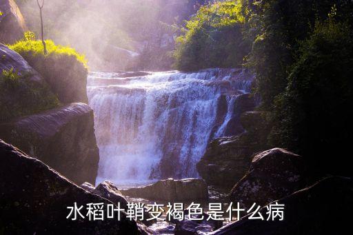 水稻葉鞘變褐色是什么病