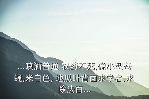 ...噴灑普通 農藥不死,像小型蒼蠅,米白色, 地瓜葉背面求學名,求除法百...