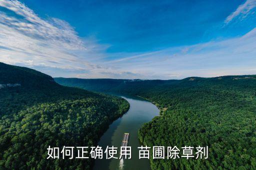 苗圃打什么農藥滅草,苗圃除草用什么農藥