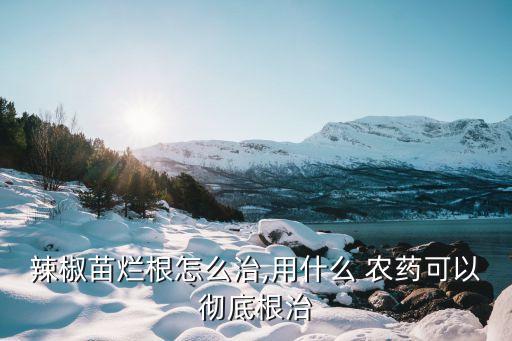 什么農藥能殺洋辣子根