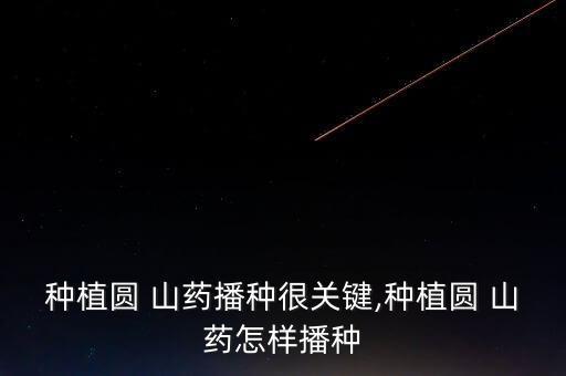 種植圓 山藥播種很關鍵,種植圓 山藥怎樣播種