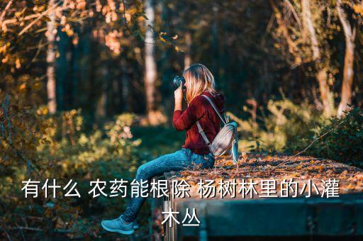 ,楊樹有草打什么農藥
