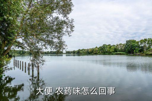感覺(jué)什么像農(nóng)藥的味道,什么農(nóng)藥味道最刺鼻