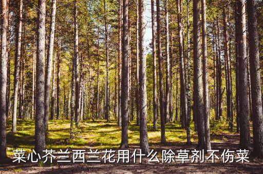 什么農藥打草死菜不死,打草用什么農藥好