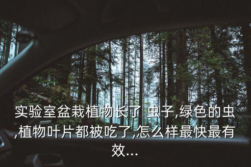 綠蟲子打什么農藥,葉片上的蟲子用什么農藥