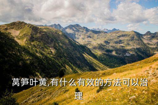 萵筍葉斑病用什么農(nóng)藥最好,最好的萵筍用什么農(nóng)藥