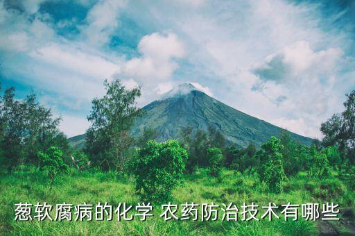 蔥軟腐病的化學 農藥防治技術有哪些