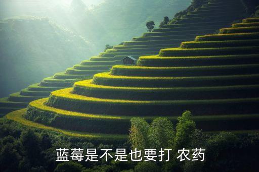  藍莓是不是也要打 農藥