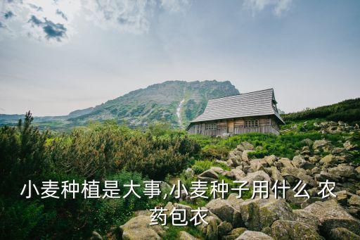 小麥種植是大事,小麥種子用什么 農藥包衣