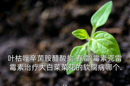 春雷霉素什么農(nóng)藥都可加嗎,農(nóng)藥春雷霉素治什么病