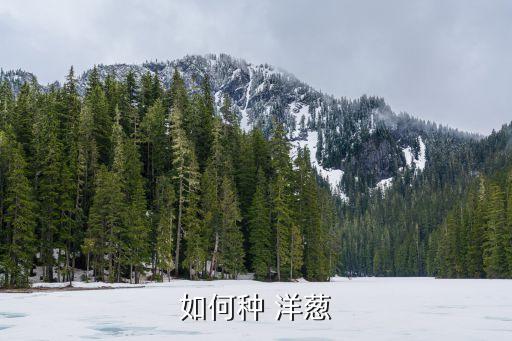洋蔥種植要放什么農藥,洋蔥的種植方法和時間