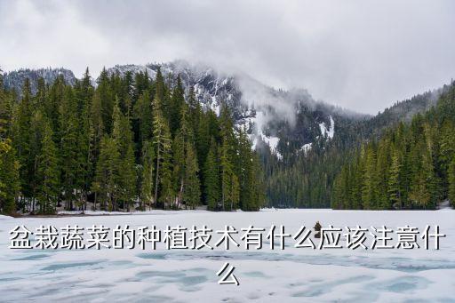 盆栽蔬菜的種植技術(shù)有什么應(yīng)該注意什么