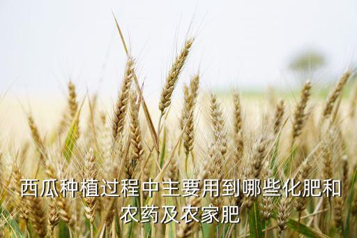 西瓜上的農藥粉是什么,666粉是什么農藥