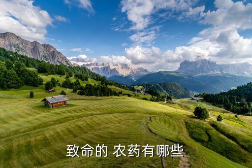 最強的農藥是什么藥,農藥3911是什么藥