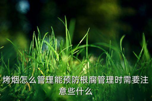 煙草根腐病用什么農藥防治,防治根腐病的農藥有哪些藥品