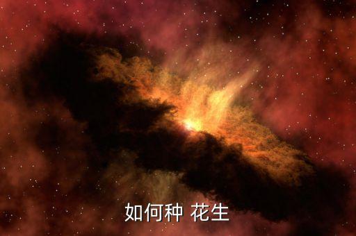 種花生要用什么農(nóng)藥,花生要打什么農(nóng)藥