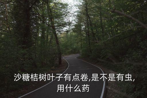  沙糖桔樹葉子有點卷,是不是有蟲,用什么藥
