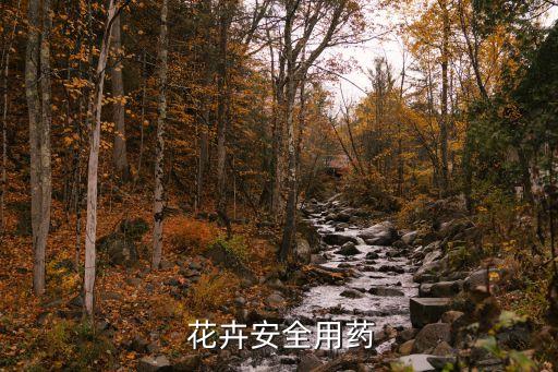 花卉農(nóng)藥什么好,晚上可以給花卉噴農(nóng)藥嗎