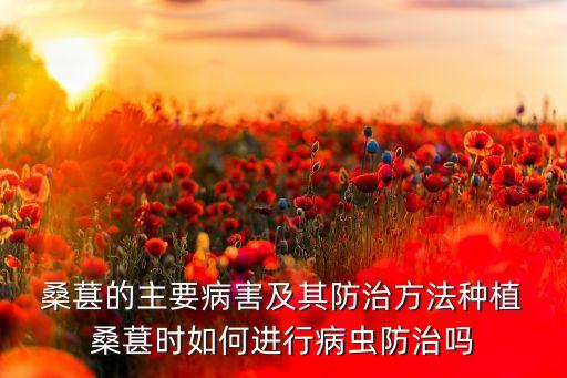  桑葚的主要病害及其防治方法種植 桑葚時如何進行病蟲防治嗎