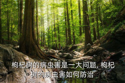枸杞頸基腐用什么農藥
