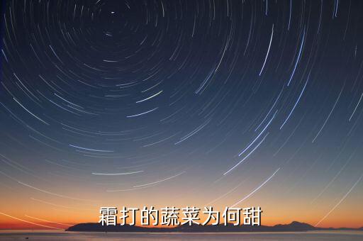 霜打的蔬菜為何甜