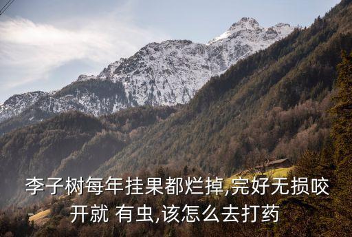 李子葉片有蟲打什么農(nóng)藥