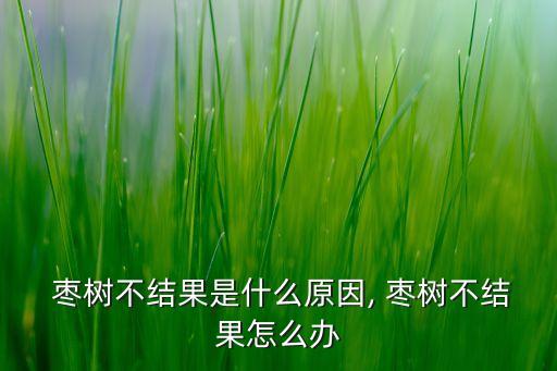 棗樹開甲口用什么農藥,什么是棗樹開甲