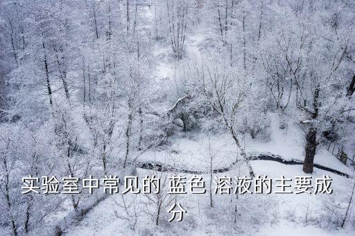 實驗室中常見的 藍色 溶液的主要成分