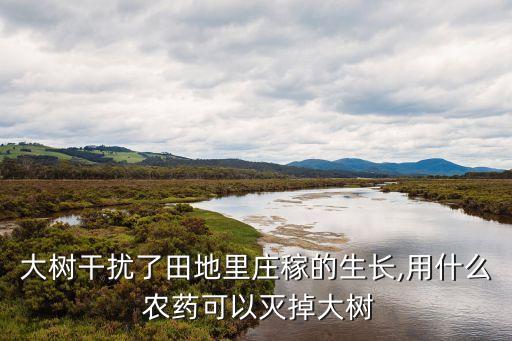 用什么農(nóng)藥使小樹落花,什么農(nóng)藥可以把小樹打死