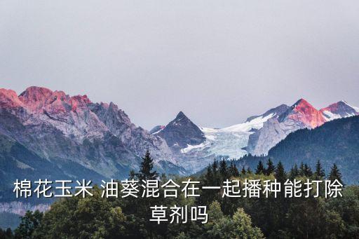 棉花玉米 油葵混合在一起播種能打除草劑嗎