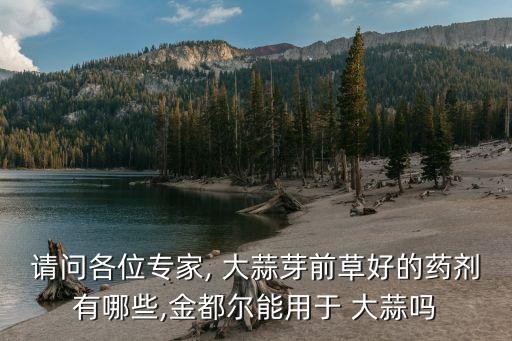 大蒜打農(nóng)藥噴什么藥,大蒜死苗爛根用什么藥來治