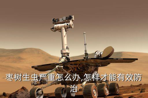 棗葉蟲用什么農藥好,青菜有蟲打什么農藥好
