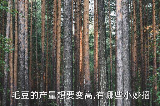  毛豆的產量想要變高,有哪些小妙招